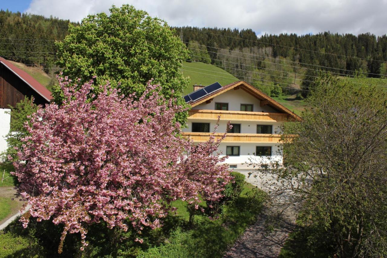Appartement Eiblhof à Schladming Extérieur photo